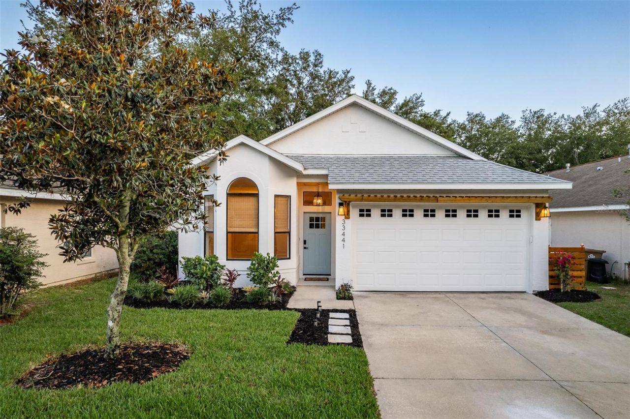 33441 Irongate Drive, Leesburg, FL 34788 Main Photo