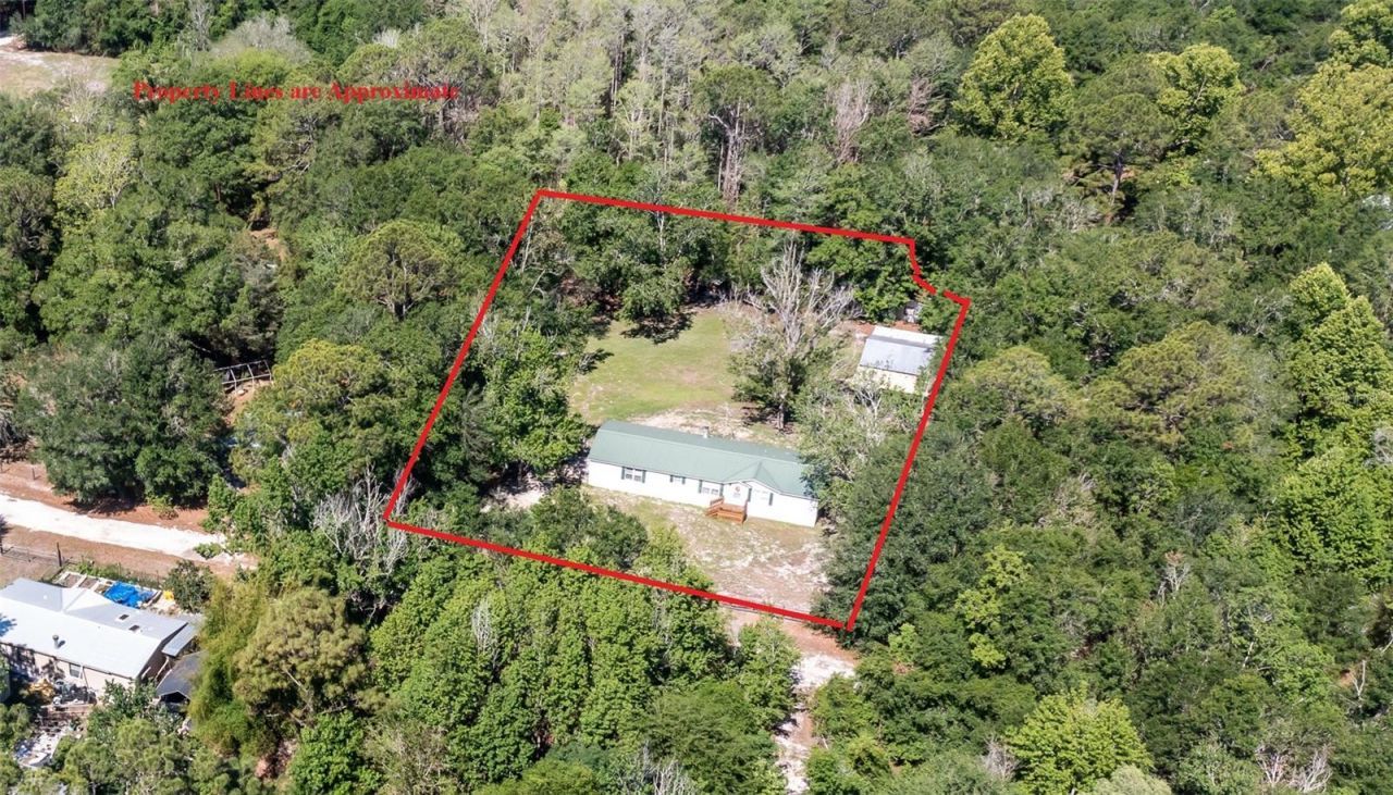 17824 NE 143rd Terrace , Waldo, FL 32694 Photo