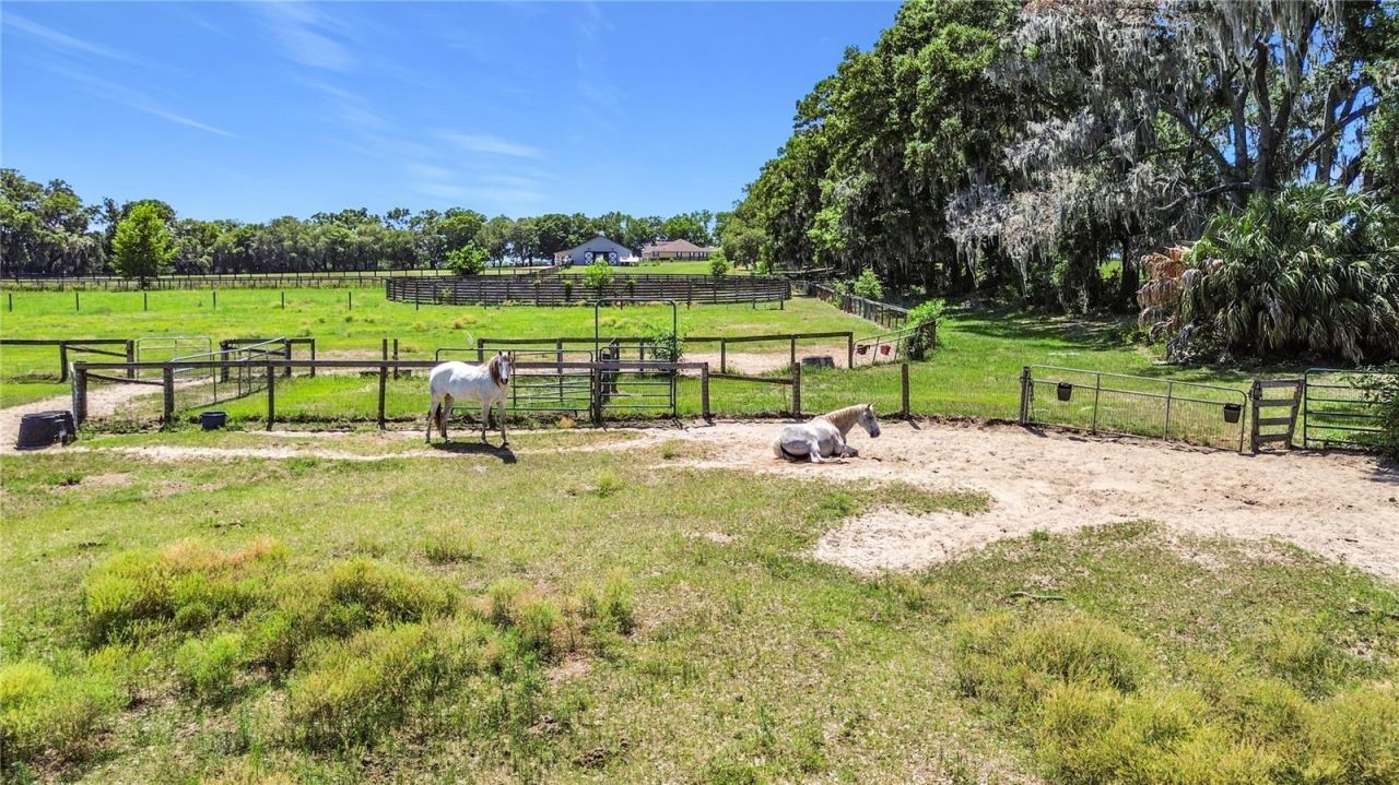 20540 SW 5th Place, Dunnellon, FL 34431 Photo