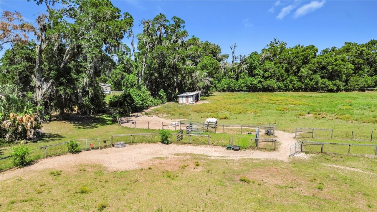 20540 SW 5th Place, Dunnellon, FL 34431 Photo