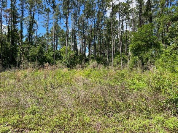 9976 N ATHENIA DRIVE , CITRUS SPRINGS, FL 34434