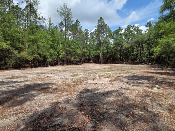 SW 61ST PLACE , NEWBERRY, FL 32669