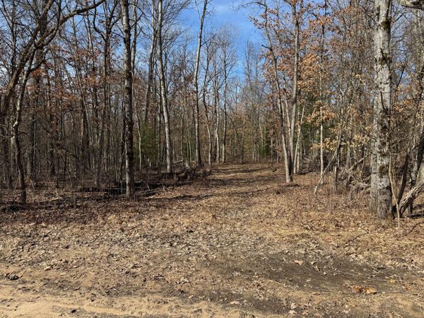 Mary Street, Wellston, MI 49689