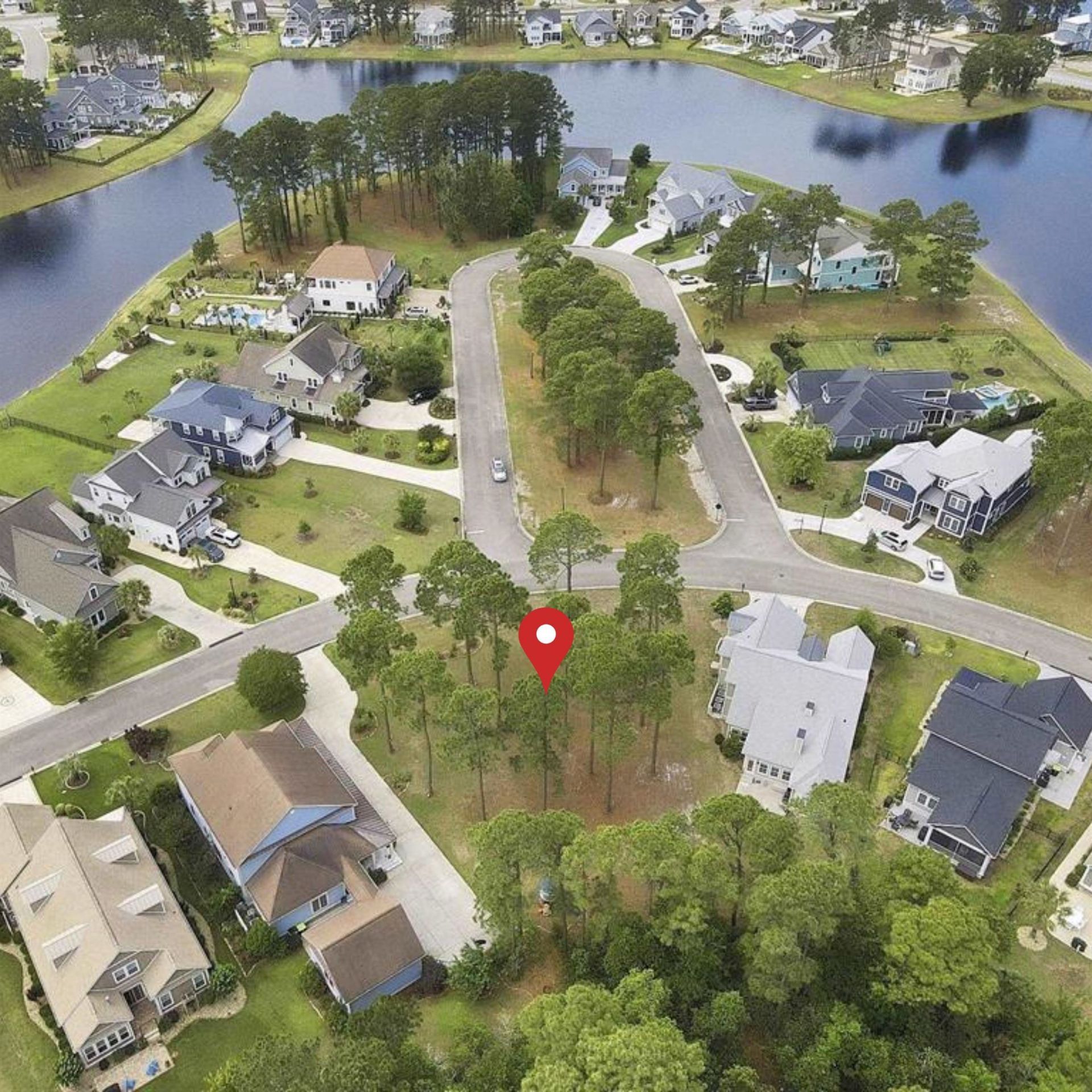 1058 Fiddlehead Way  Photo 10
