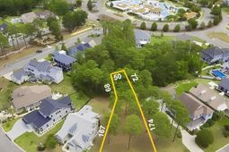 1058 Fiddlehead Way  photo 4