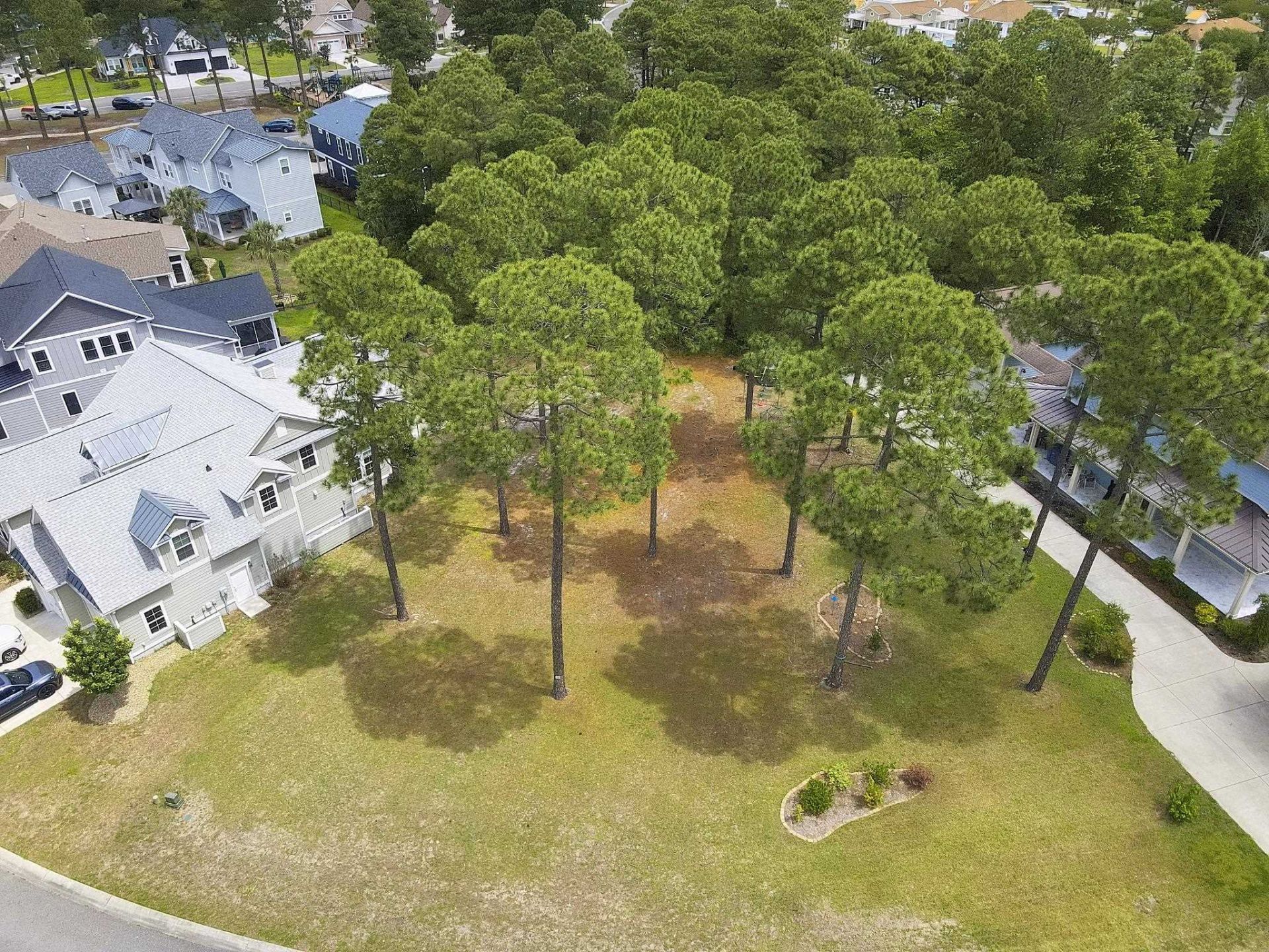 1058 Fiddlehead Way  Photo 8