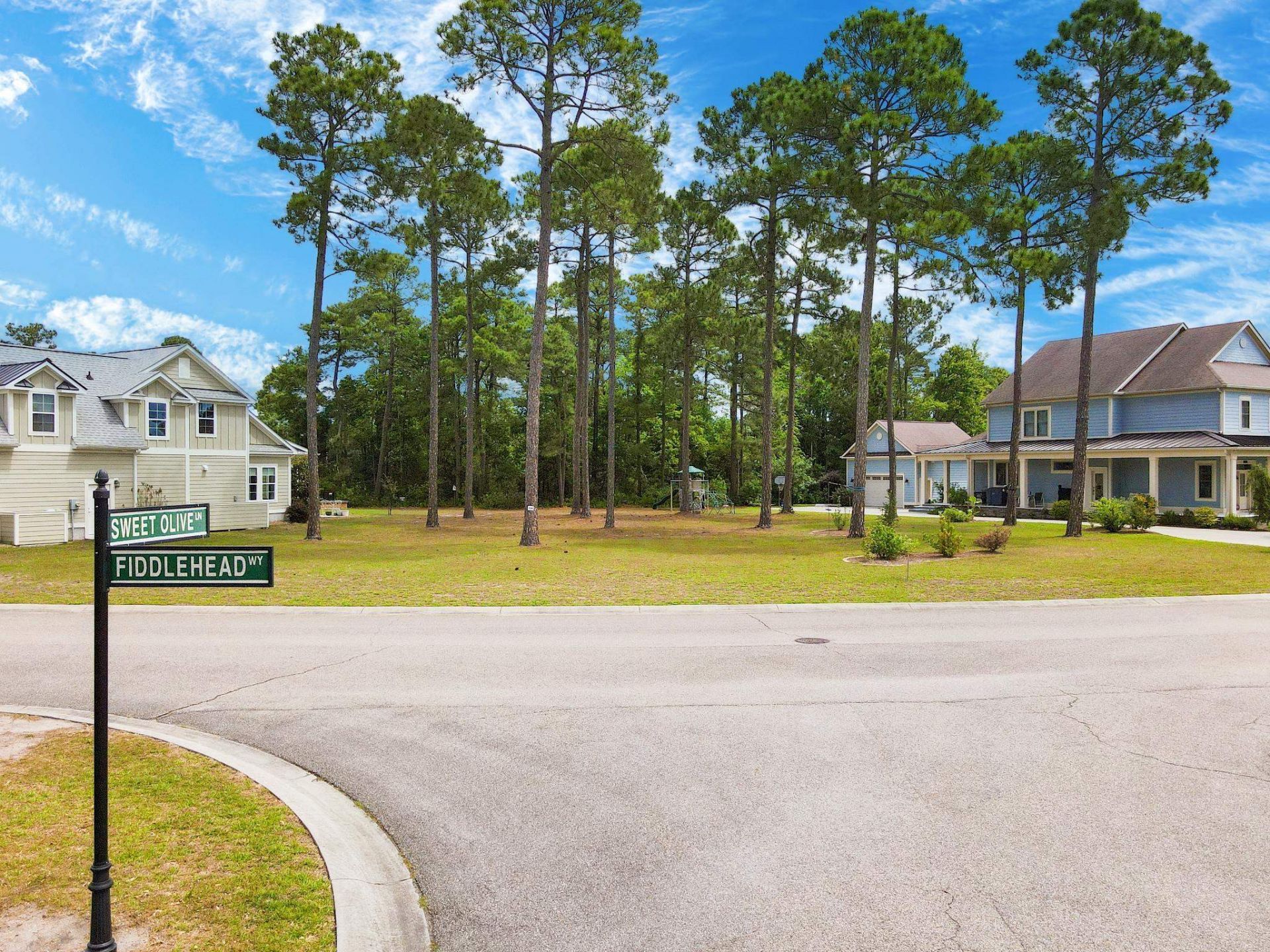 1058 Fiddlehead Way  Photo 9