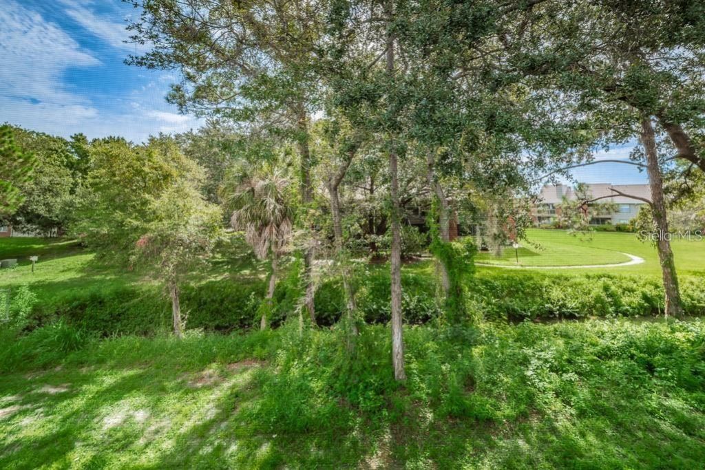 1400 Gandy Boulevard N, Unit 1107, Saint Petersburg, FL 33702 Photo