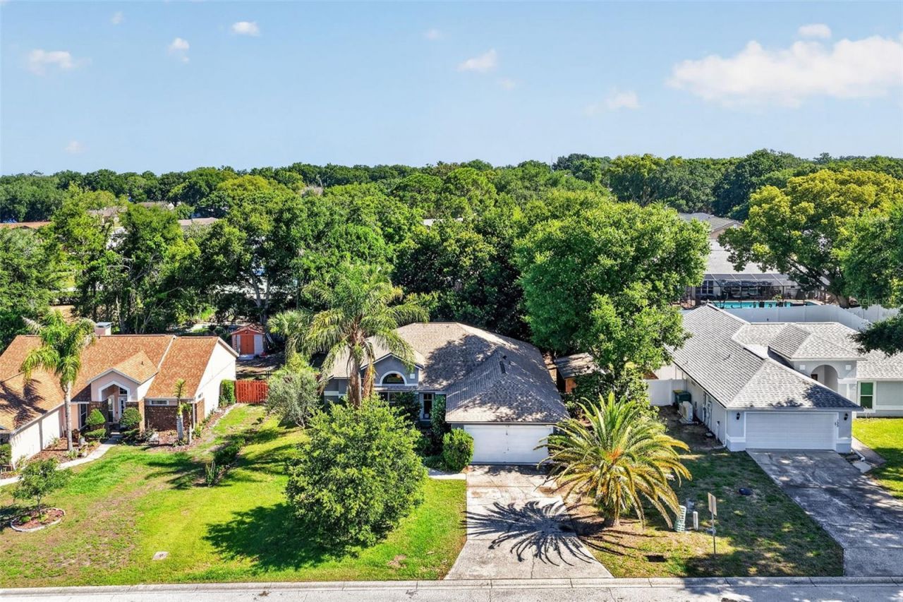 131 Madrona Drive , Eustis, FL 32726 Photo