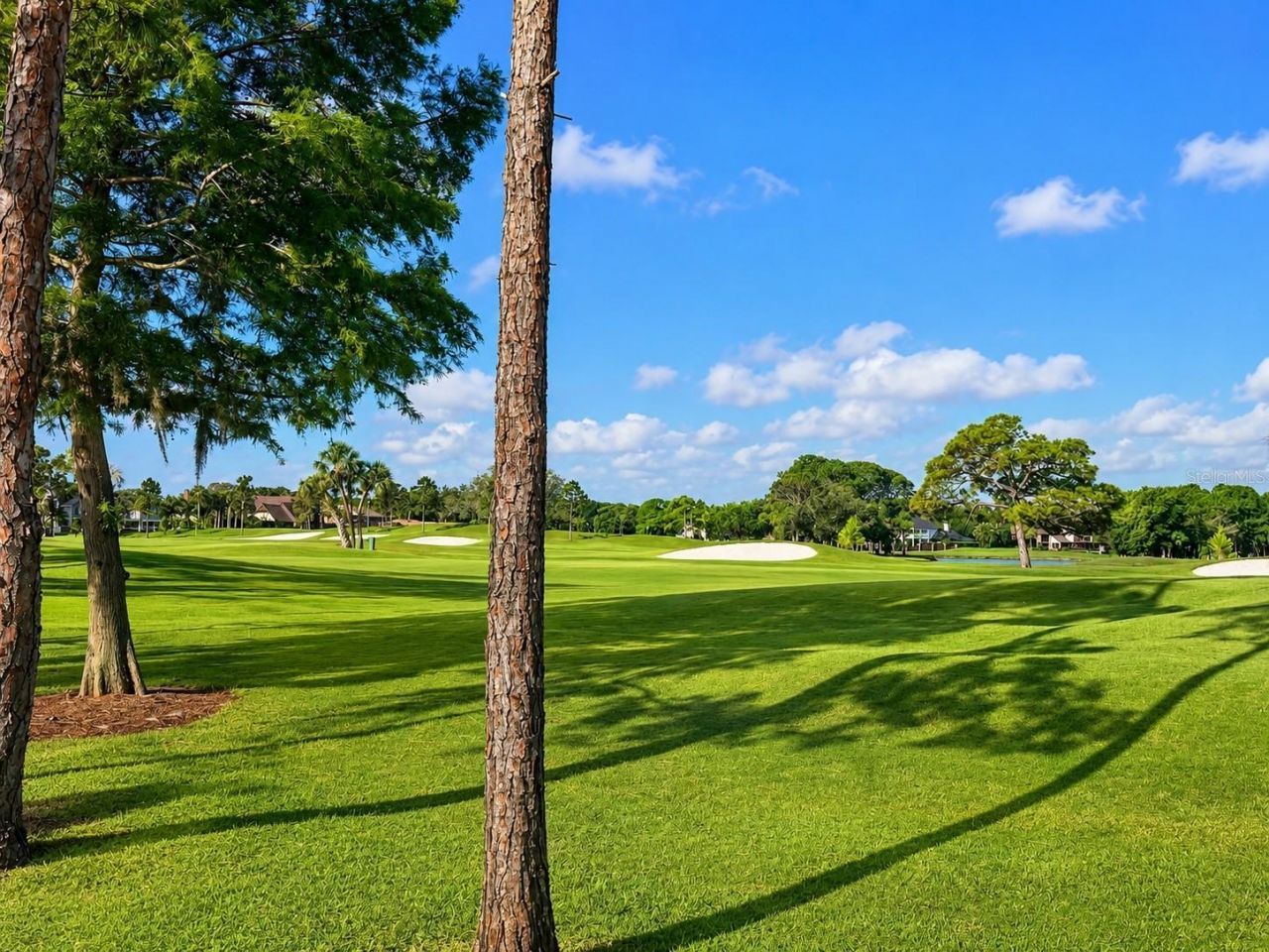 2400 Feather Sound Drive, Unit 223, Clearwater, FL 33762 Photo