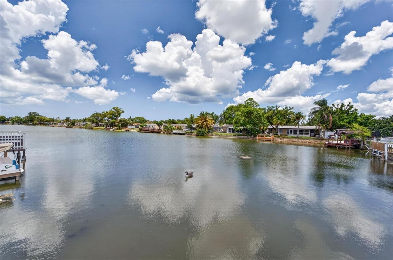 4009 Star Island Drive, Holiday, FL 34691 Photo