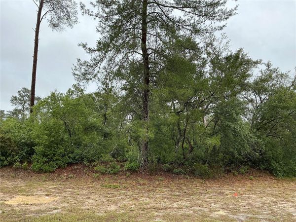 SW 20TH COURT , OCALA, FL 34473