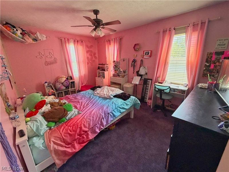 151 Pine Street, Leetonia, OH 44431 Photo 18