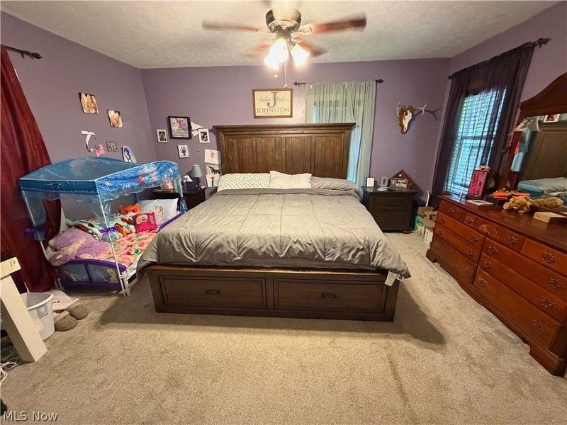 151 Pine Street, Leetonia, OH 44431 Photo 19