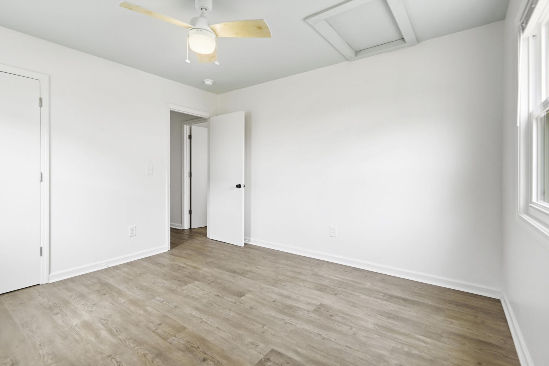 3119 Azalea Drive Photo 11