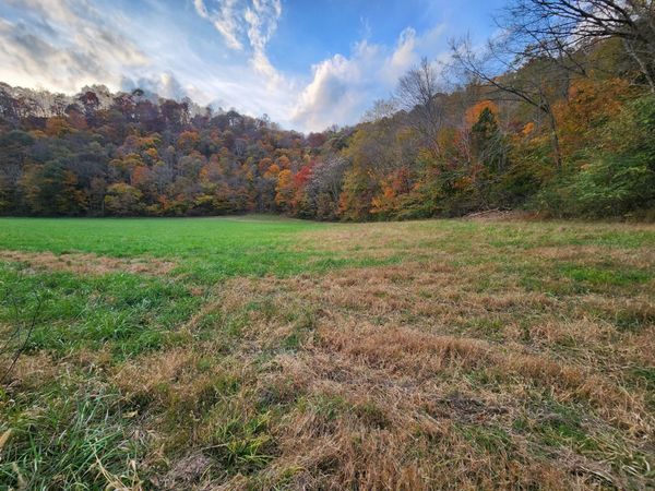 0 Pine Lick Rd , Unit 1, Whitleyville, TN 38588