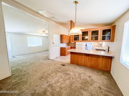 411 Vagabond Court, Reno, NV 89506 Photo