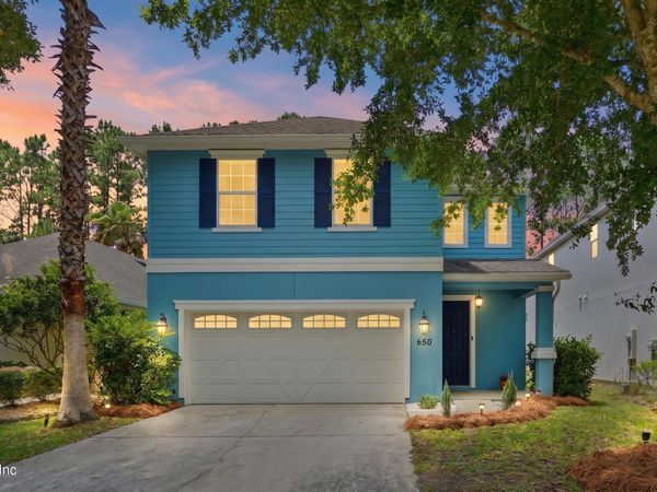 650 BRIAR VIEW Drive, Orange Park, FL 32065