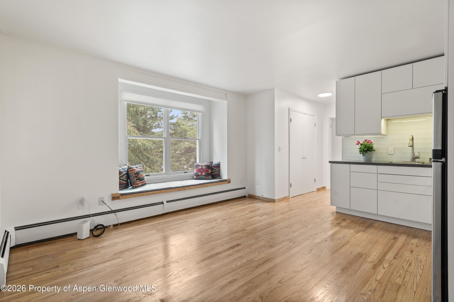 415 Pacific Avenue, Unit C, Aspen, CO 81611 Main Photo