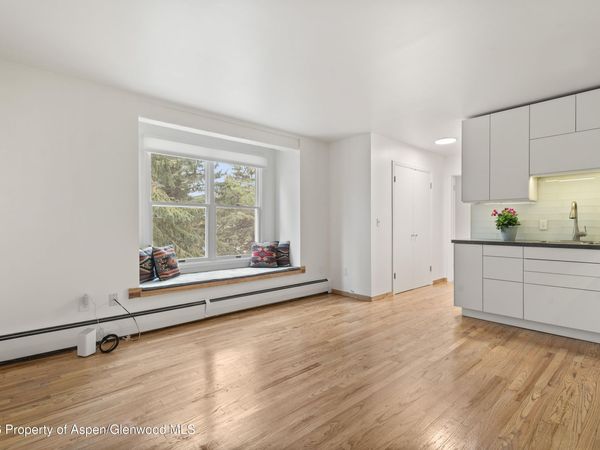 415 Pacific Avenue, Unit C, Aspen, CO 81611