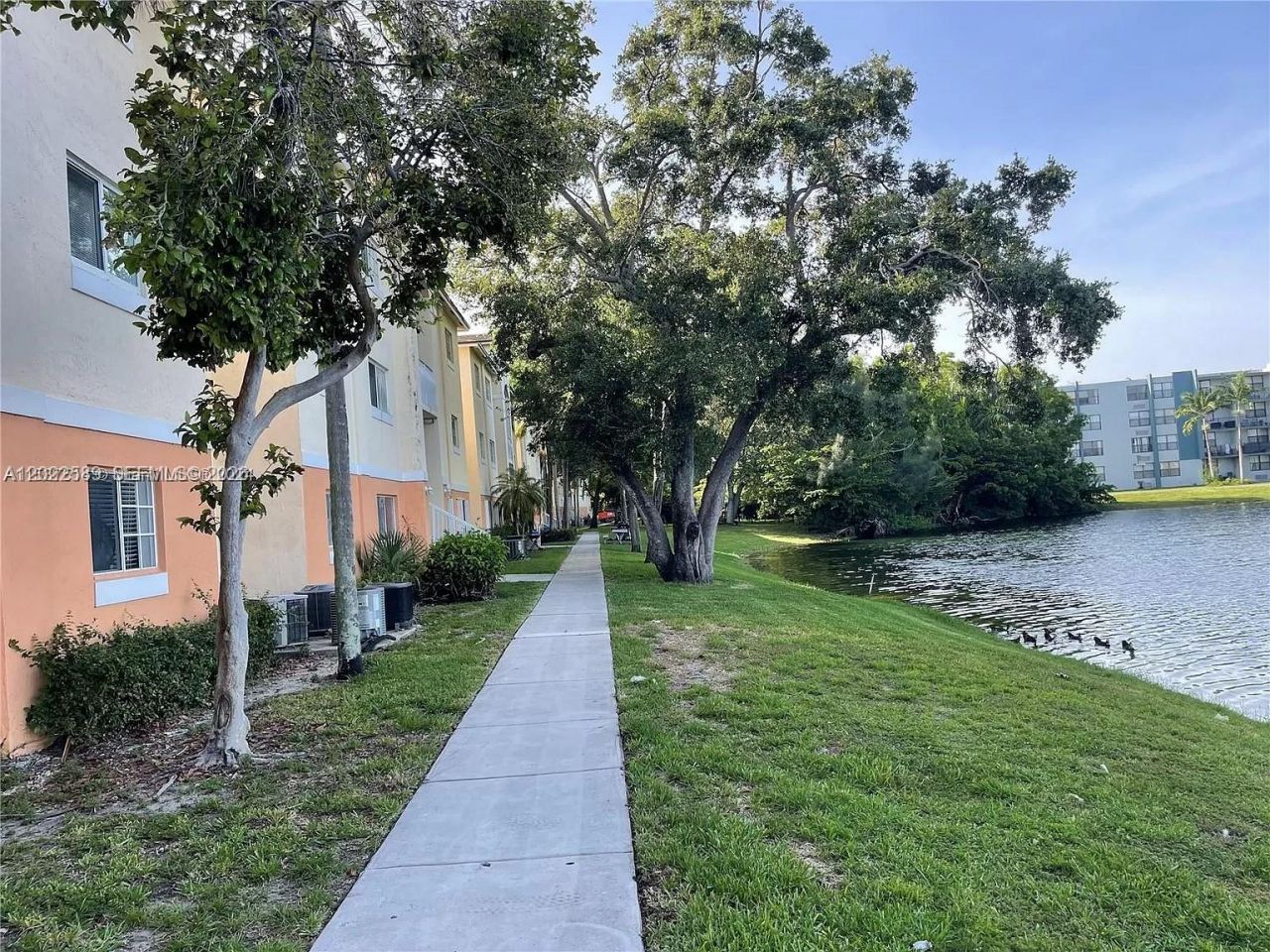 3690 N 56th Ave , Unit 916, Hollywood, FL 33021 Photo