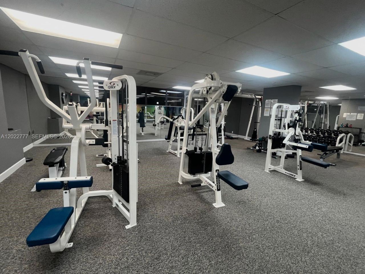 200 Leslie Dr, Unit 324, Hallandale Beach, FL 33009 Photo