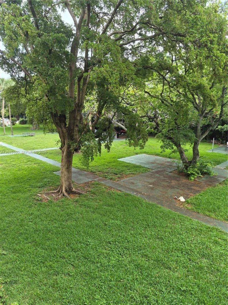 1420 Atlantic Shores Blvd, Unit 236, Hallandale Beach, FL 33009 Photo