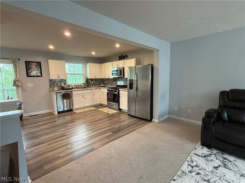 141 Grass Court, Painesville, OH 44077 Photo 5