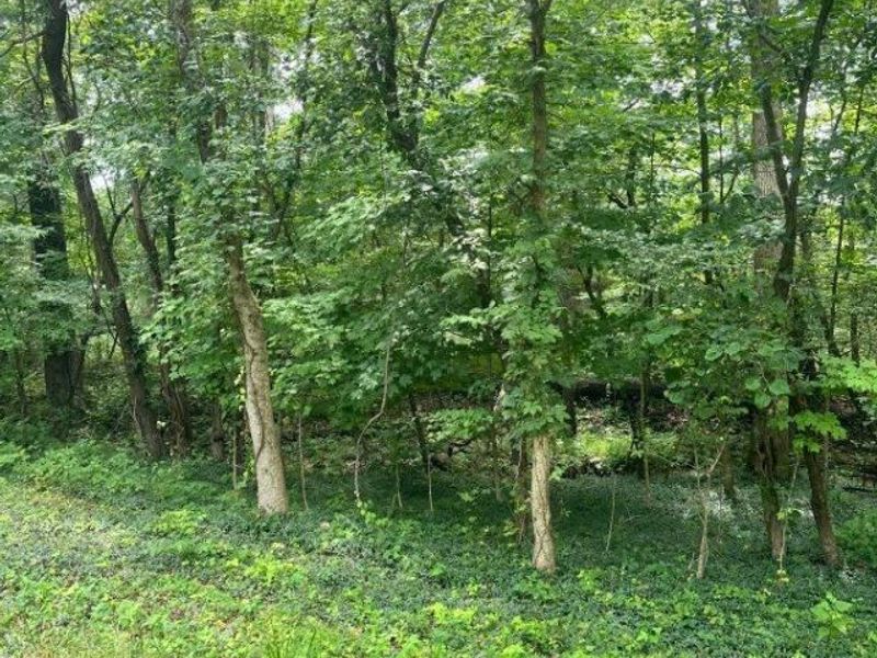 Lot 883 Horse Shoe Drive, Sardinia, OH 45171 Photo 2