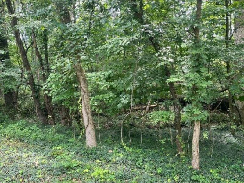 Lot 883 Horse Shoe Drive, Sardinia, OH 45171 Photo 3