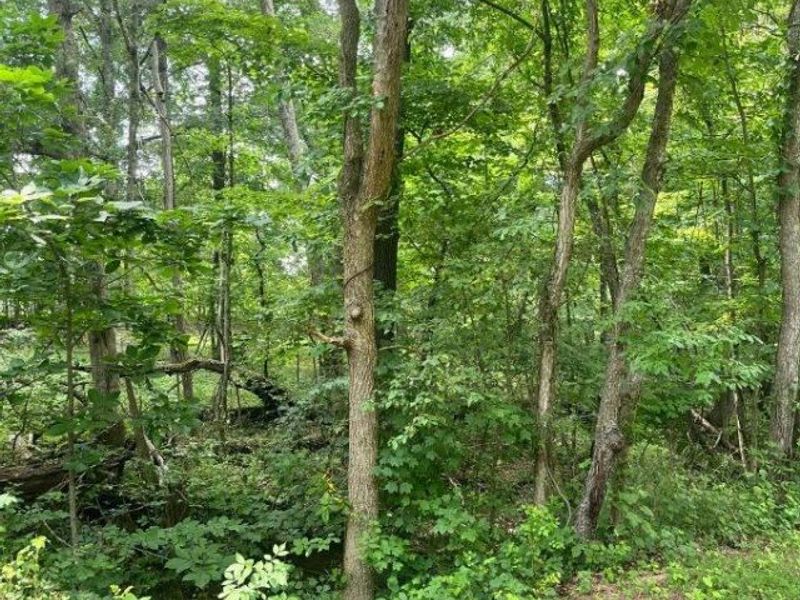 Lot 883 Horse Shoe Drive, Sardinia, OH 45171 Photo 4