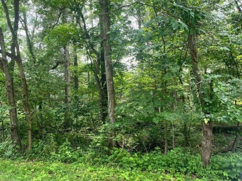 Lot 883 Horse Shoe Drive, Sardinia, OH 45171 Photo 5