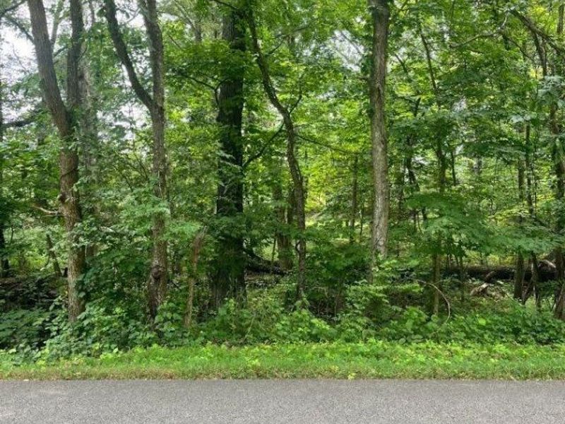 Lot 883 Horse Shoe Drive, Sardinia, OH 45171 Photo 6