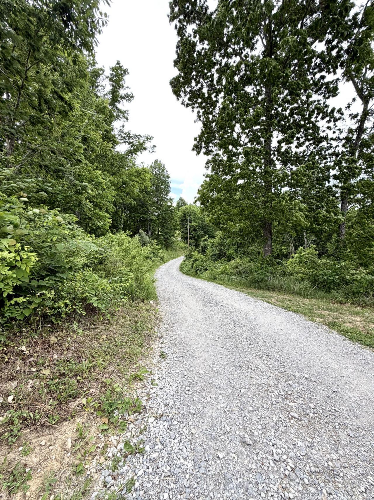 1050 Burgin Road, Lawrenceburg, KY 40342