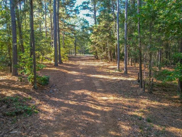 7821 Cr 3409 , Chandler, TX 75758