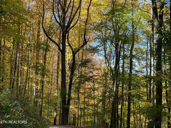 Emilyville Way, Cosby, TN 37722