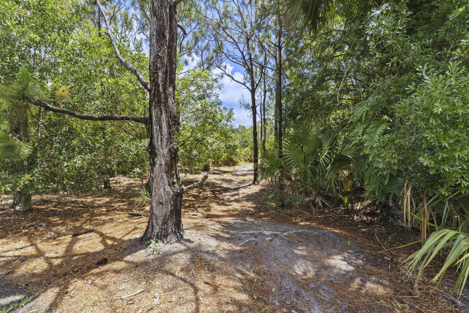 3051 SW Otter Lane, Stuart, FL 34997 Photo