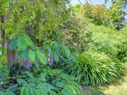 1705 Pluto Way, Sacramento, CA 95864 Photo