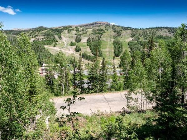254 W PINEHURST ST W, Unit 5, Brian Head, UT 84719