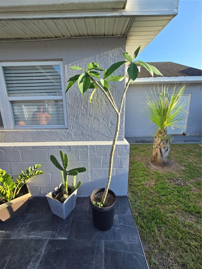 3252 San Pedro Lane , Orlando, FL 32827 Photo