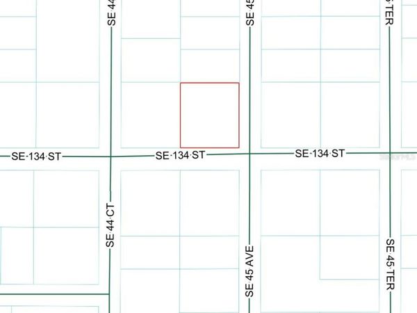 SE 45TH AVE , SUMMERFIELD, FL 34491