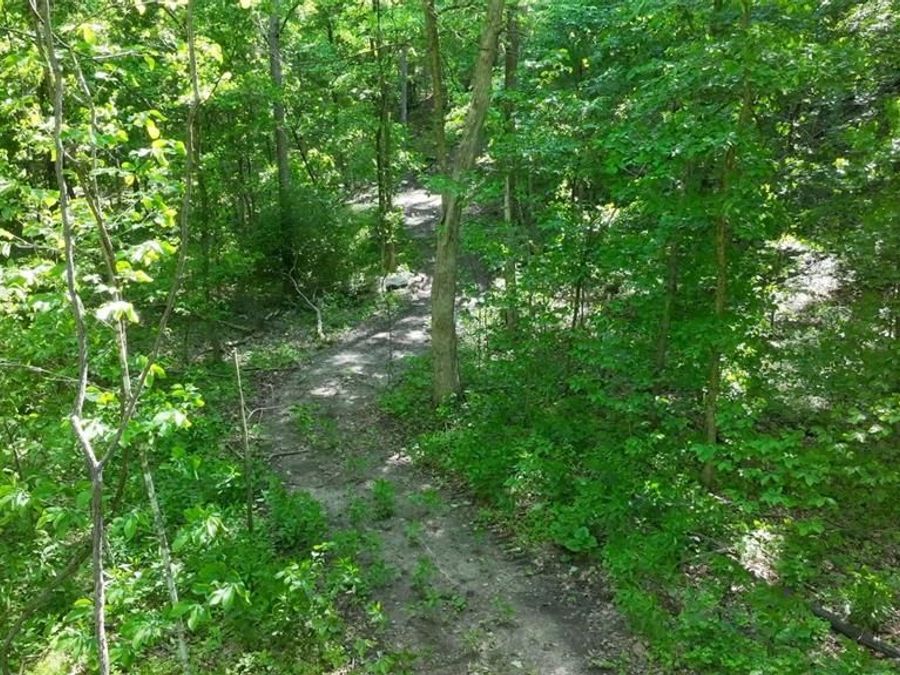 Property Image 8