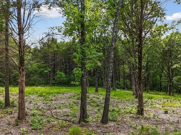299 Whitetail Ridge , Dittmer, MO 63023
