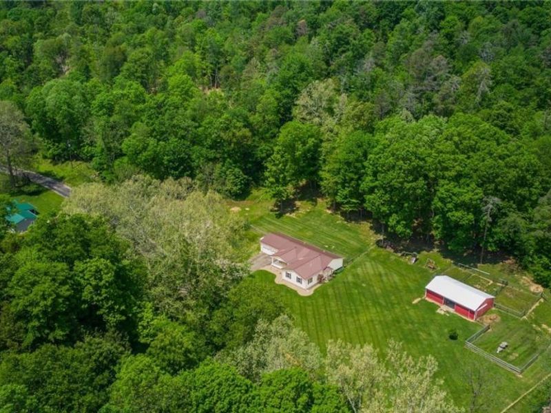 385 Irish Ridge Road, Philo, OH 43771 Photo 45