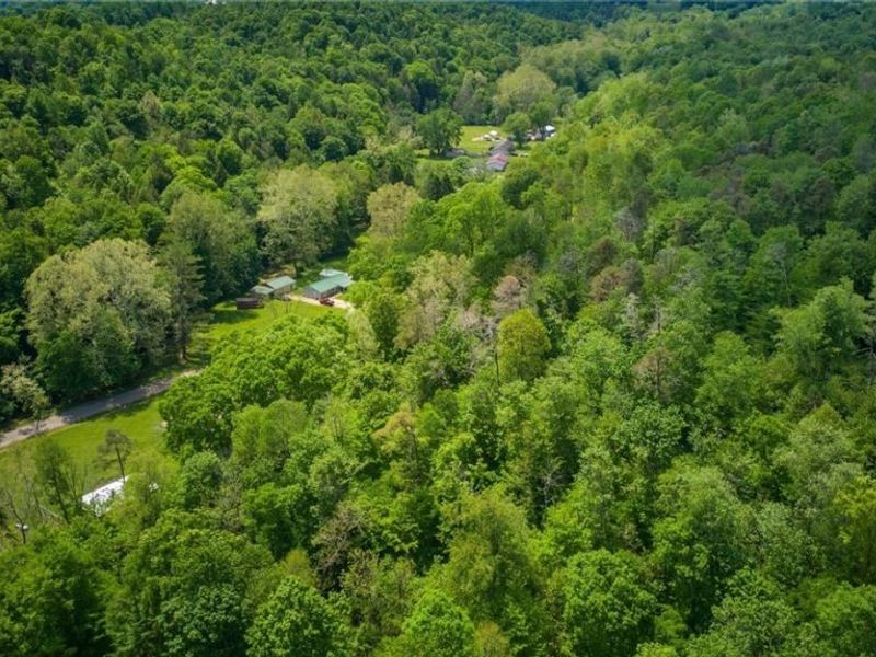 385 Irish Ridge Road, Philo, OH 43771 Photo 49