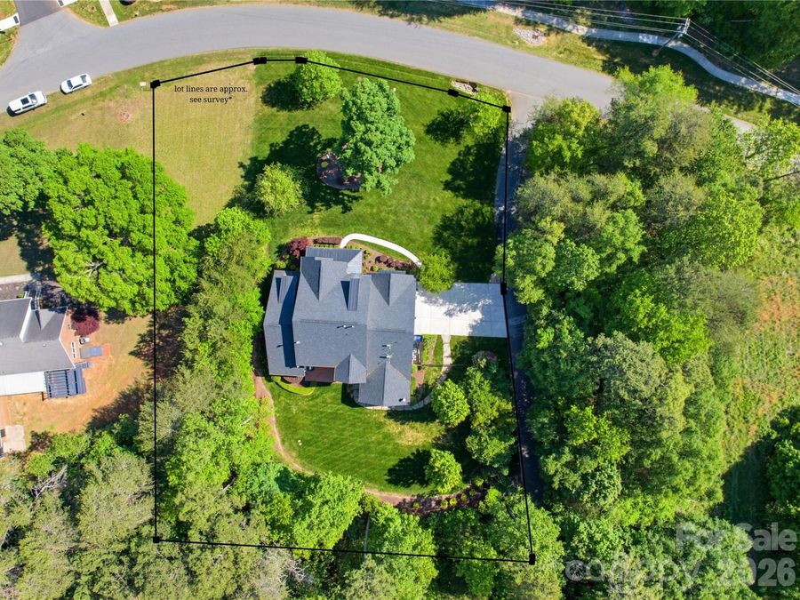 Property Image 41