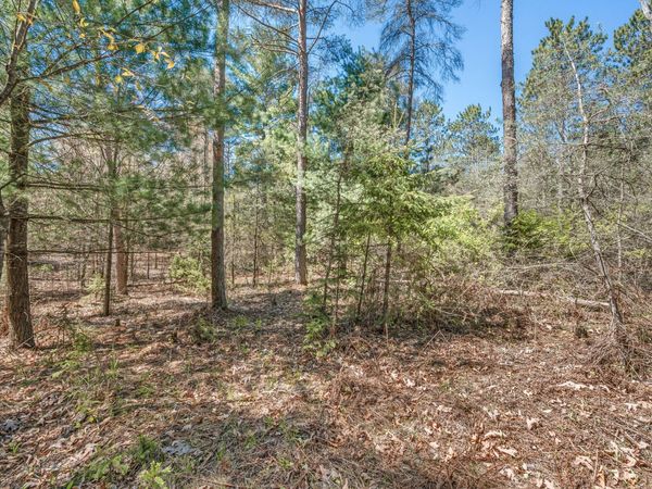 8.5 Acre V/L Three Mile Road, Unit Parcels A-, Hersey, MI 49639