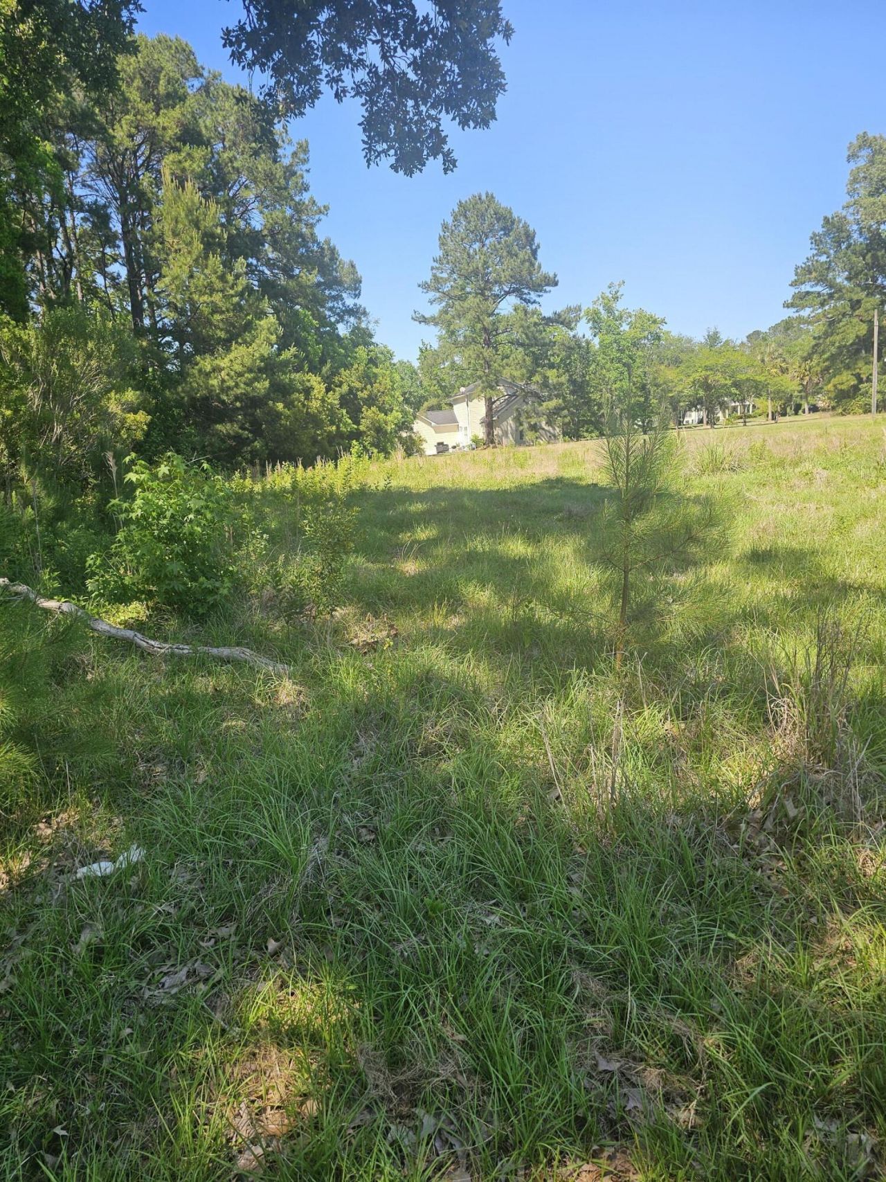 0 Jeff Lane Photo 1