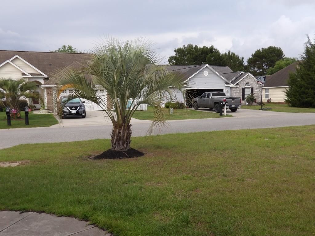 151 Heath Dr.  Photo 35