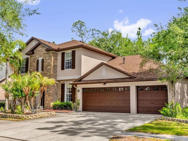 16117 COLCHESTER PALMS DRIVE , TAMPA, FL 33647